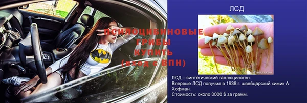 спайс Белокуриха